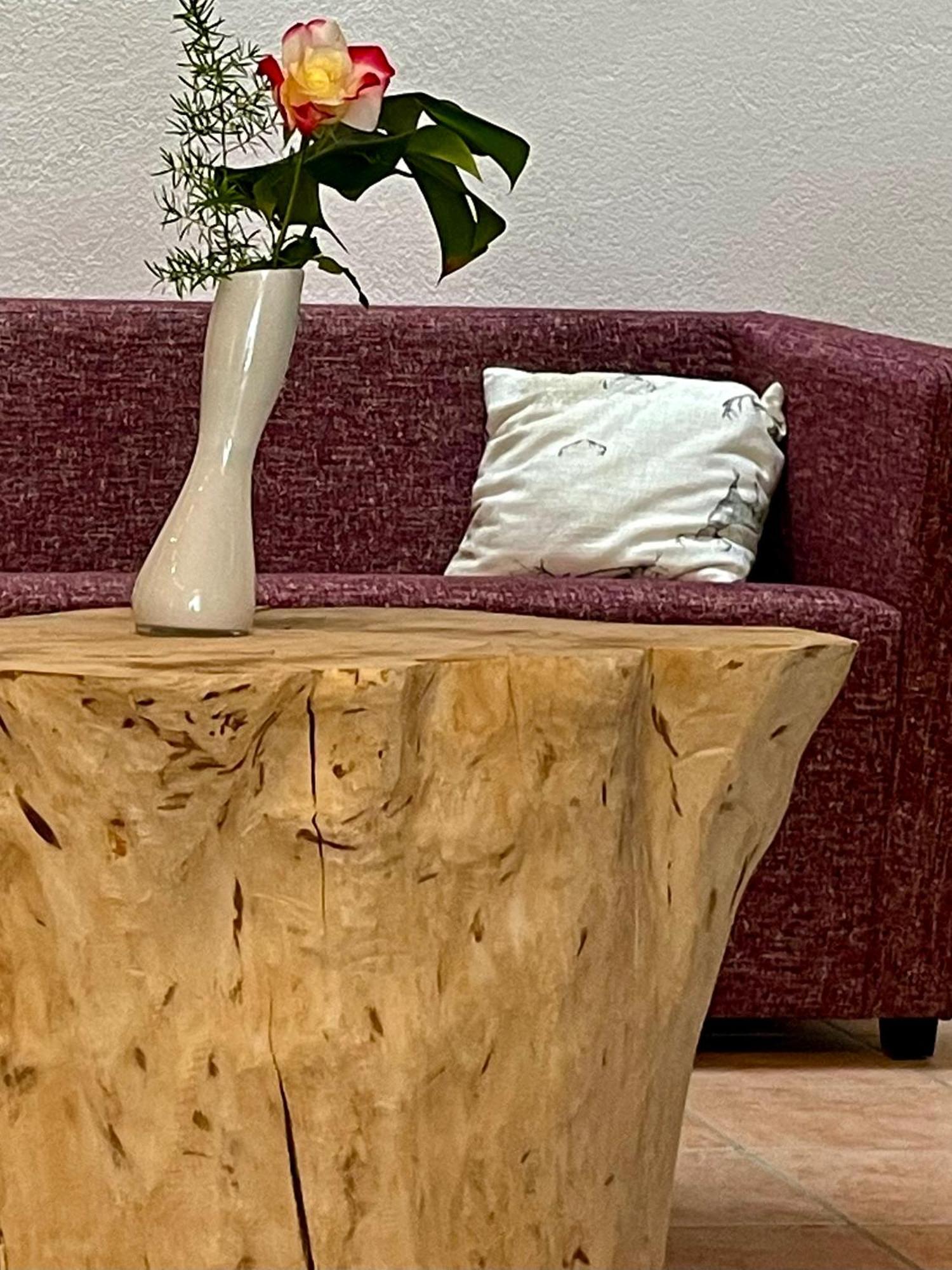 Hotel Larch Campo di Trens Dış mekan fotoğraf