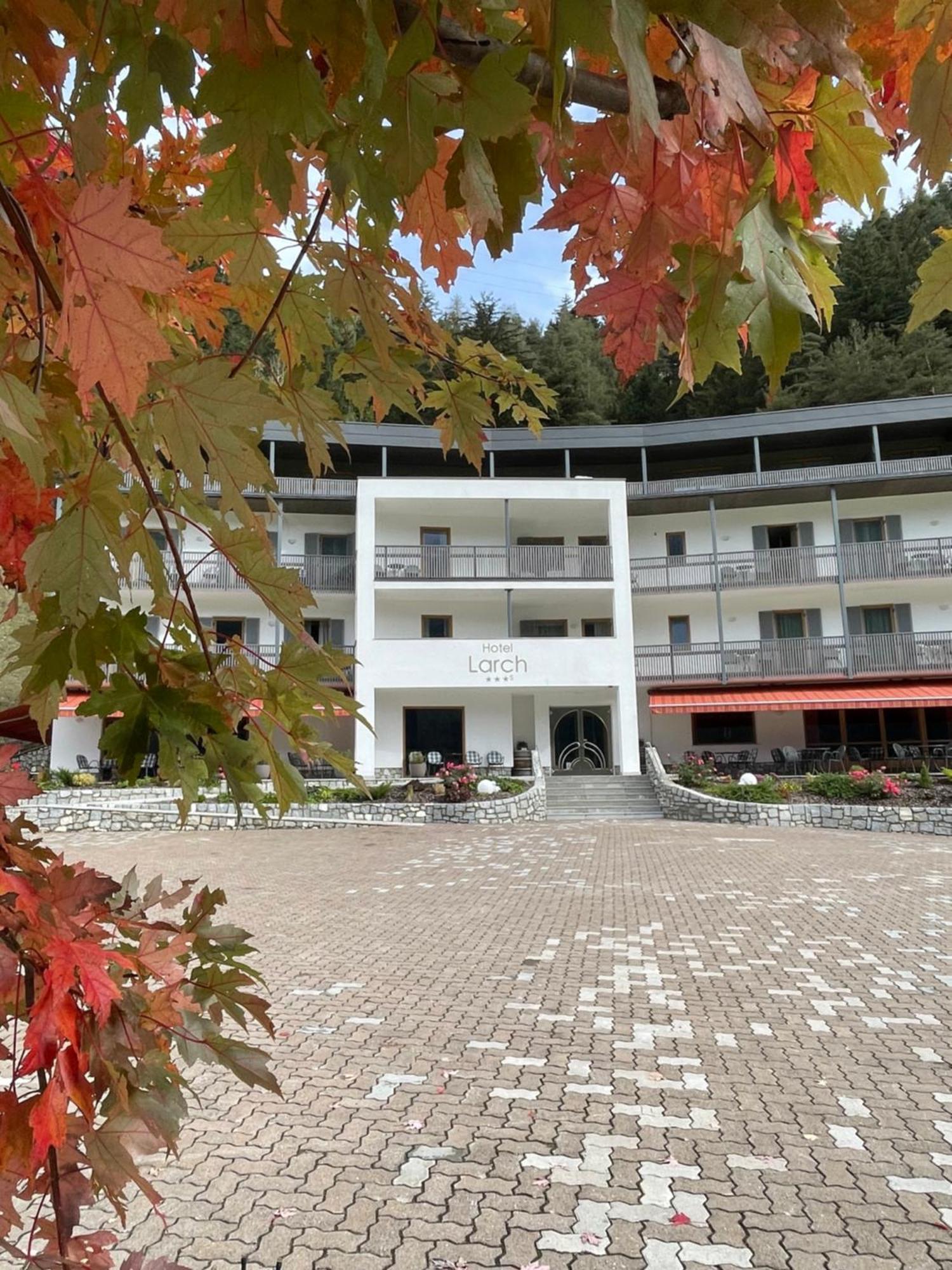 Hotel Larch Campo di Trens Dış mekan fotoğraf